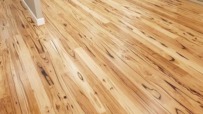 New Feature Grade Wormy Chestnut Timber Flooring Melbourne